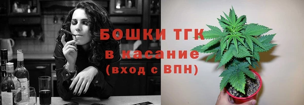 ГАЛЛЮЦИНОГЕННЫЕ ГРИБЫ Семёнов